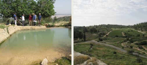 עין צורים_20230416105549.822.jpg